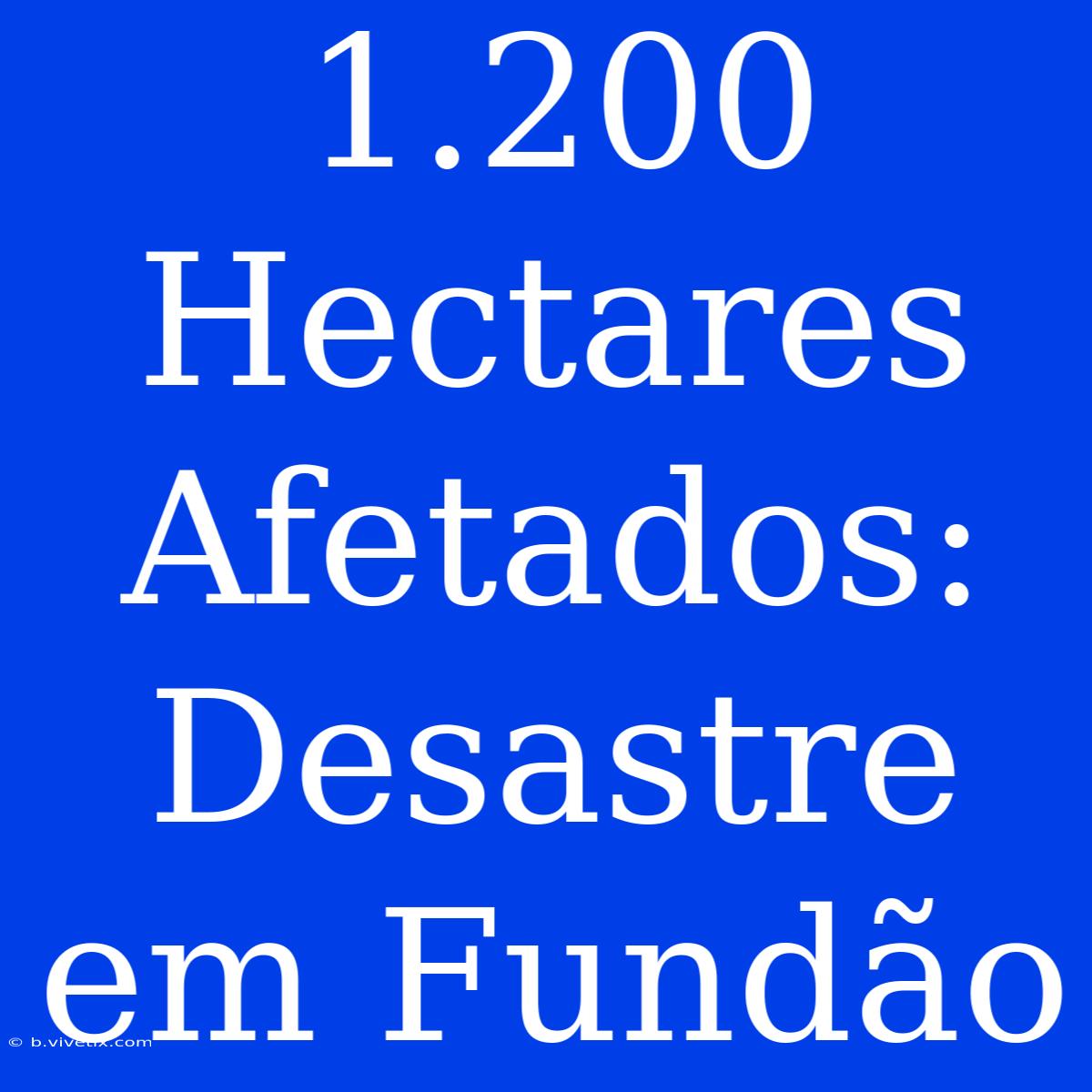 1.200 Hectares Afetados: Desastre Em Fundão 