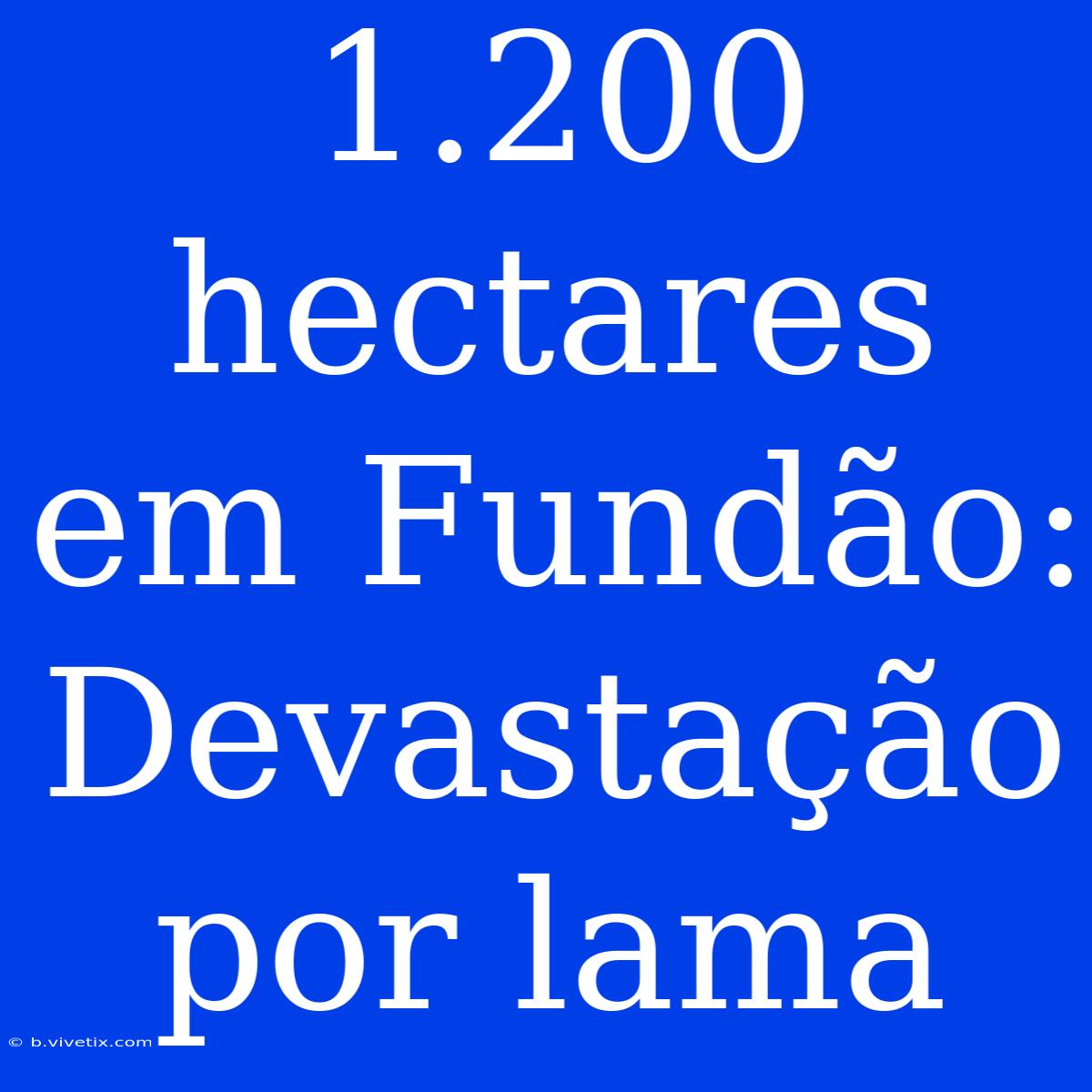 1.200 Hectares Em Fundão: Devastação Por Lama