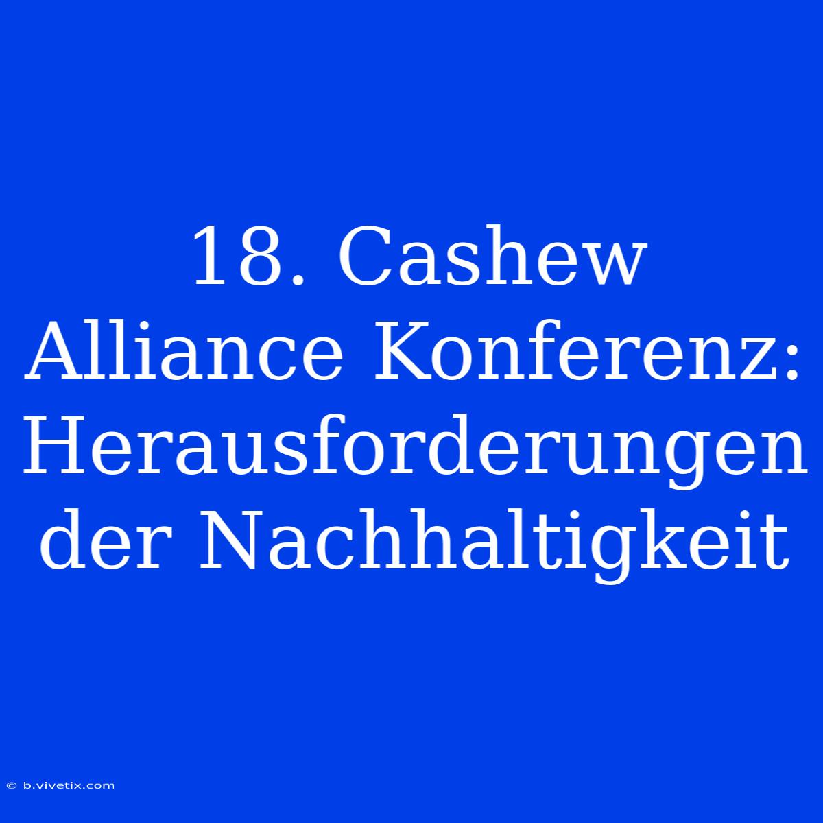 18. Cashew Alliance Konferenz: Herausforderungen Der Nachhaltigkeit