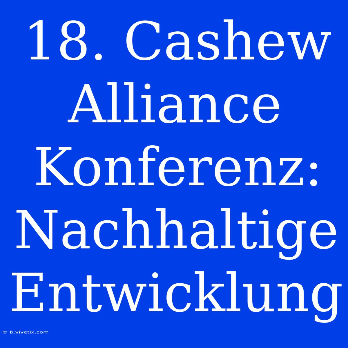 18. Cashew Alliance Konferenz: Nachhaltige Entwicklung