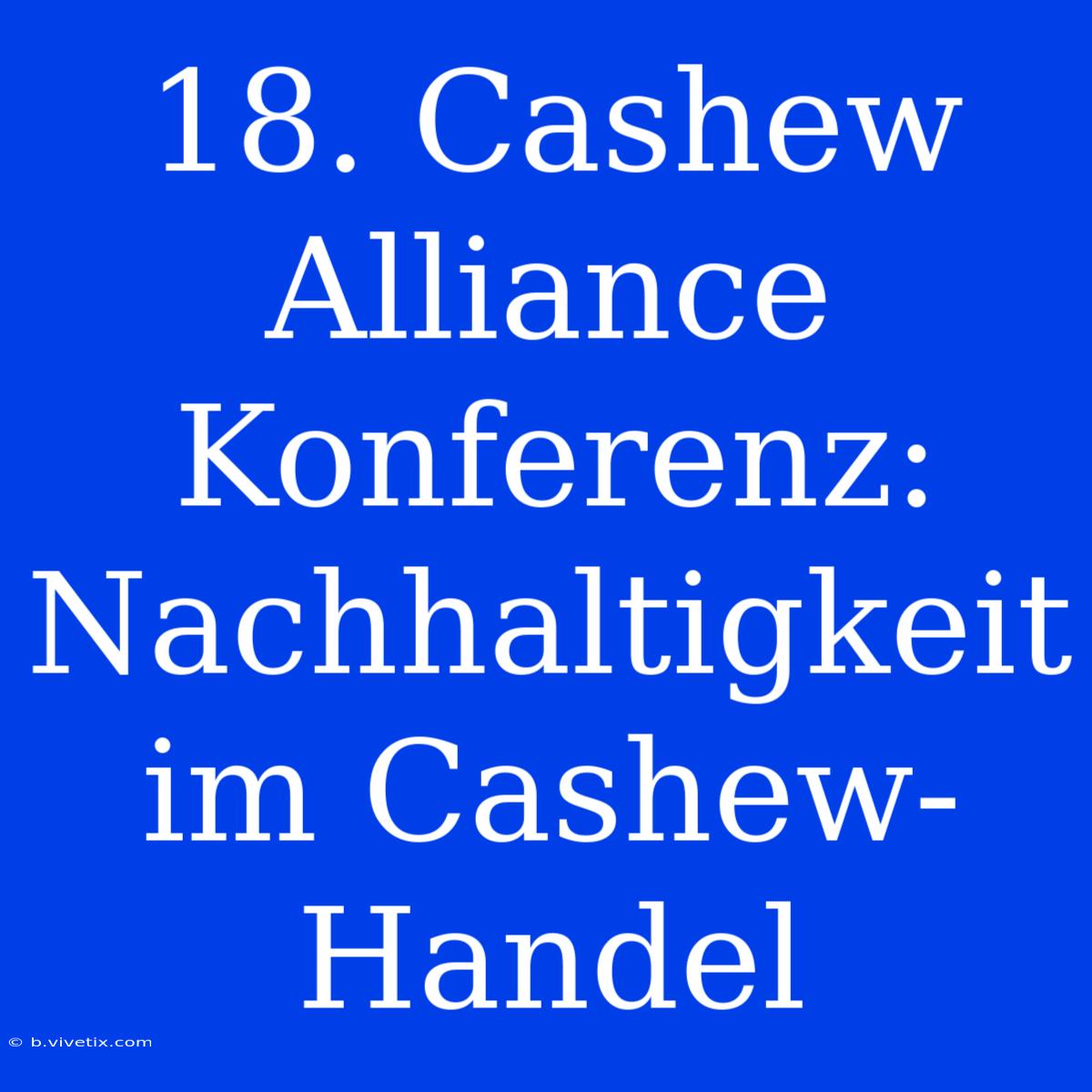 18. Cashew Alliance Konferenz: Nachhaltigkeit Im Cashew-Handel 