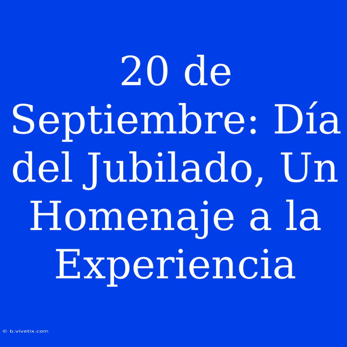 20 De Septiembre: Día Del Jubilado, Un Homenaje A La Experiencia