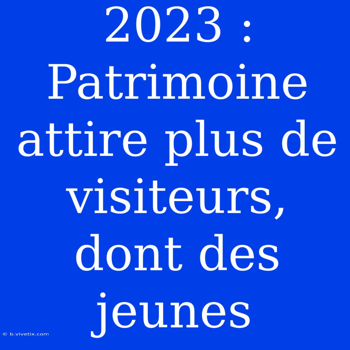 2023 : Patrimoine Attire Plus De Visiteurs, Dont Des Jeunes