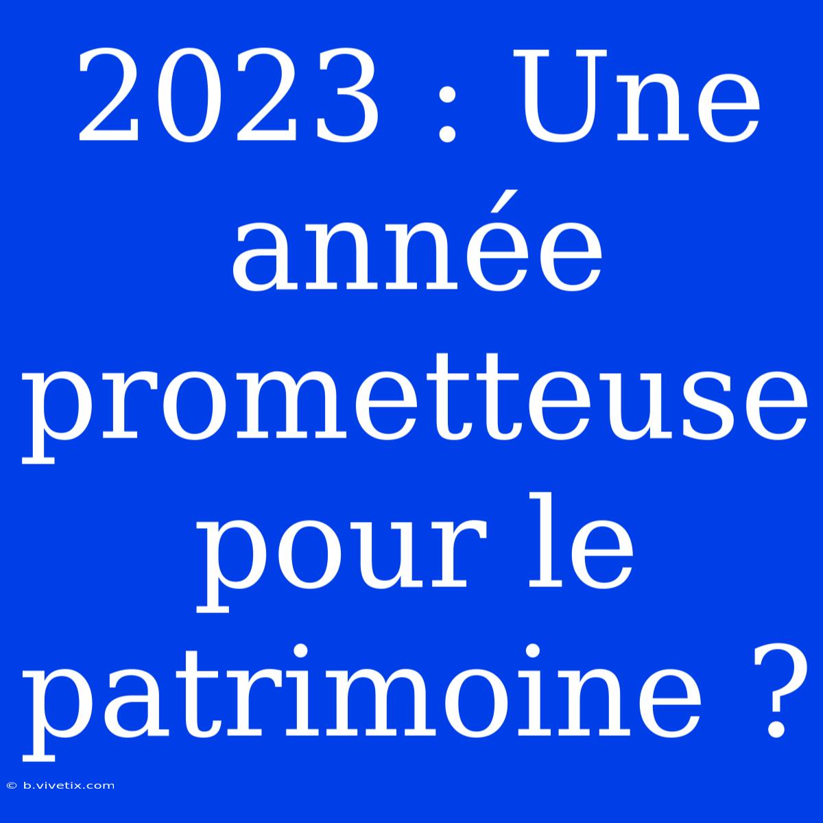 2023 : Une Année Prometteuse Pour Le Patrimoine ?