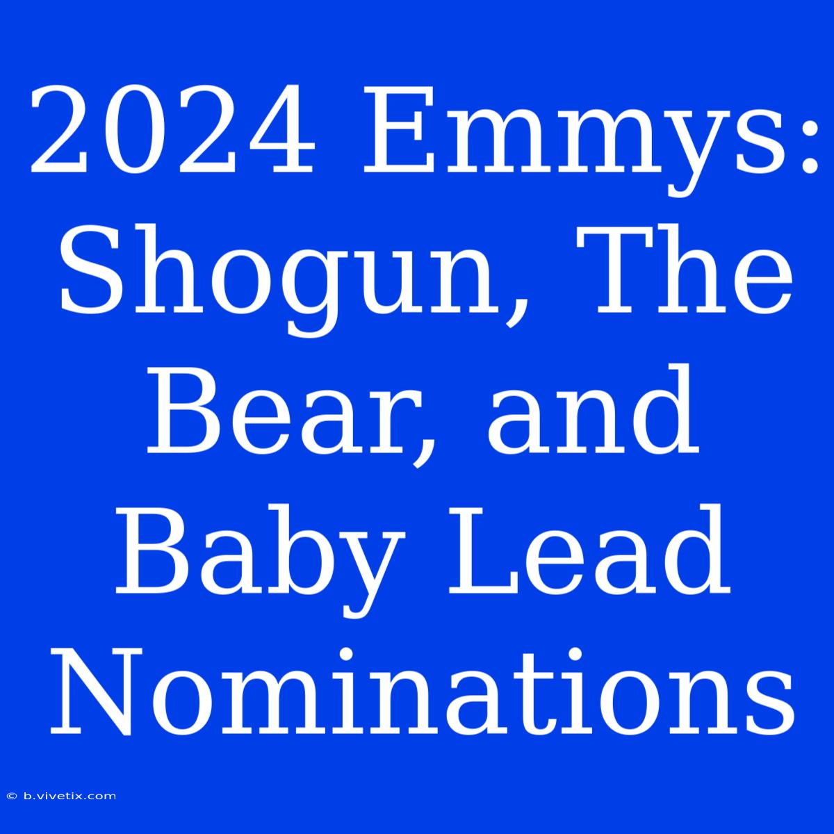 2024 Emmys: Shogun, The Bear, And Baby Lead Nominations