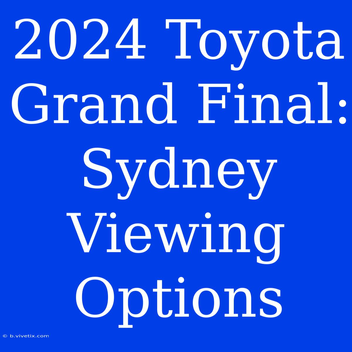 2024 Toyota Grand Final: Sydney Viewing Options