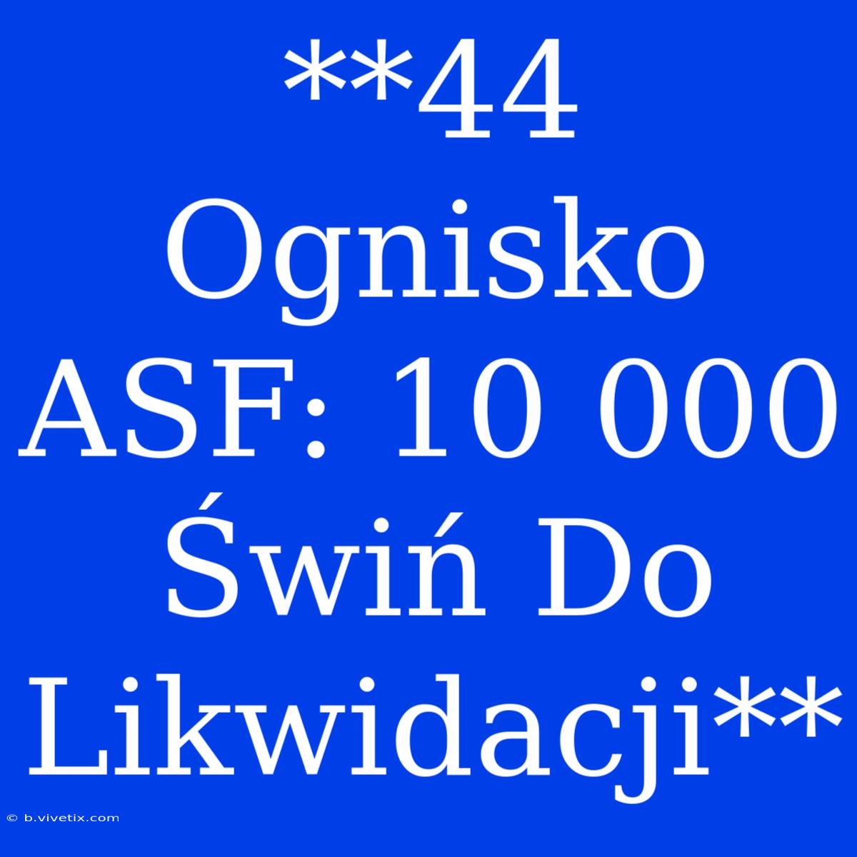 **44 Ognisko ASF: 10 000 Świń Do Likwidacji**