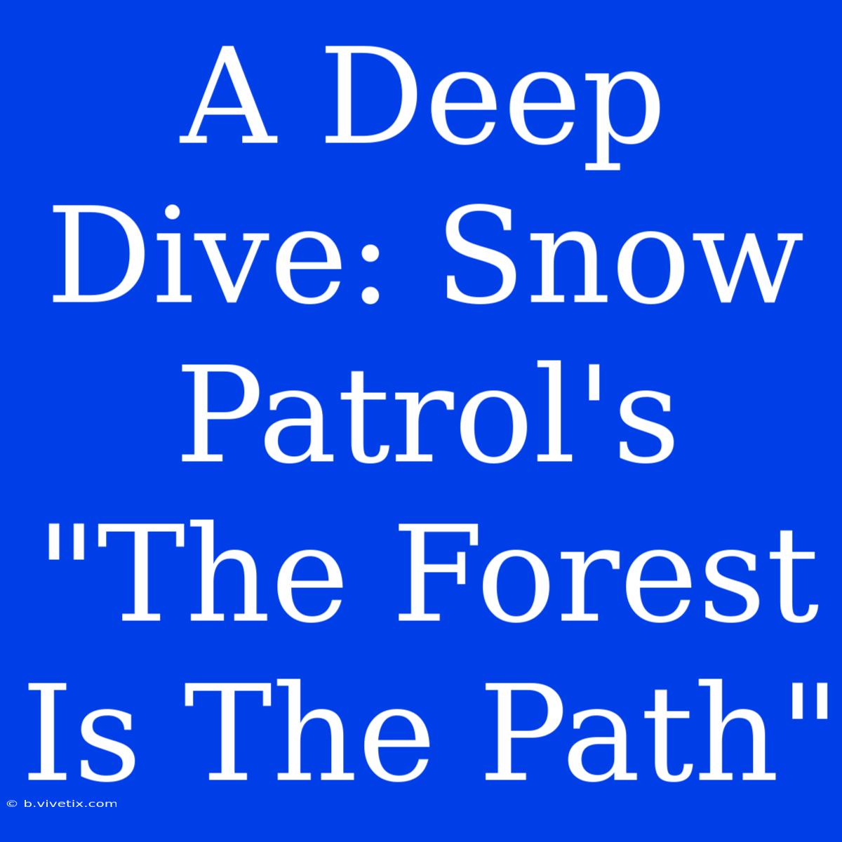 A Deep Dive: Snow Patrol's 