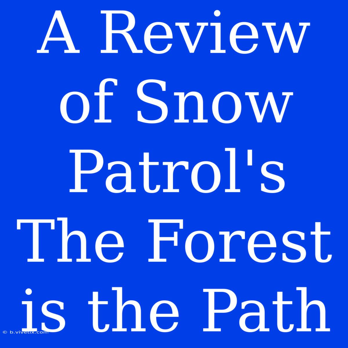 A Review Of Snow Patrol's The Forest Is The Path