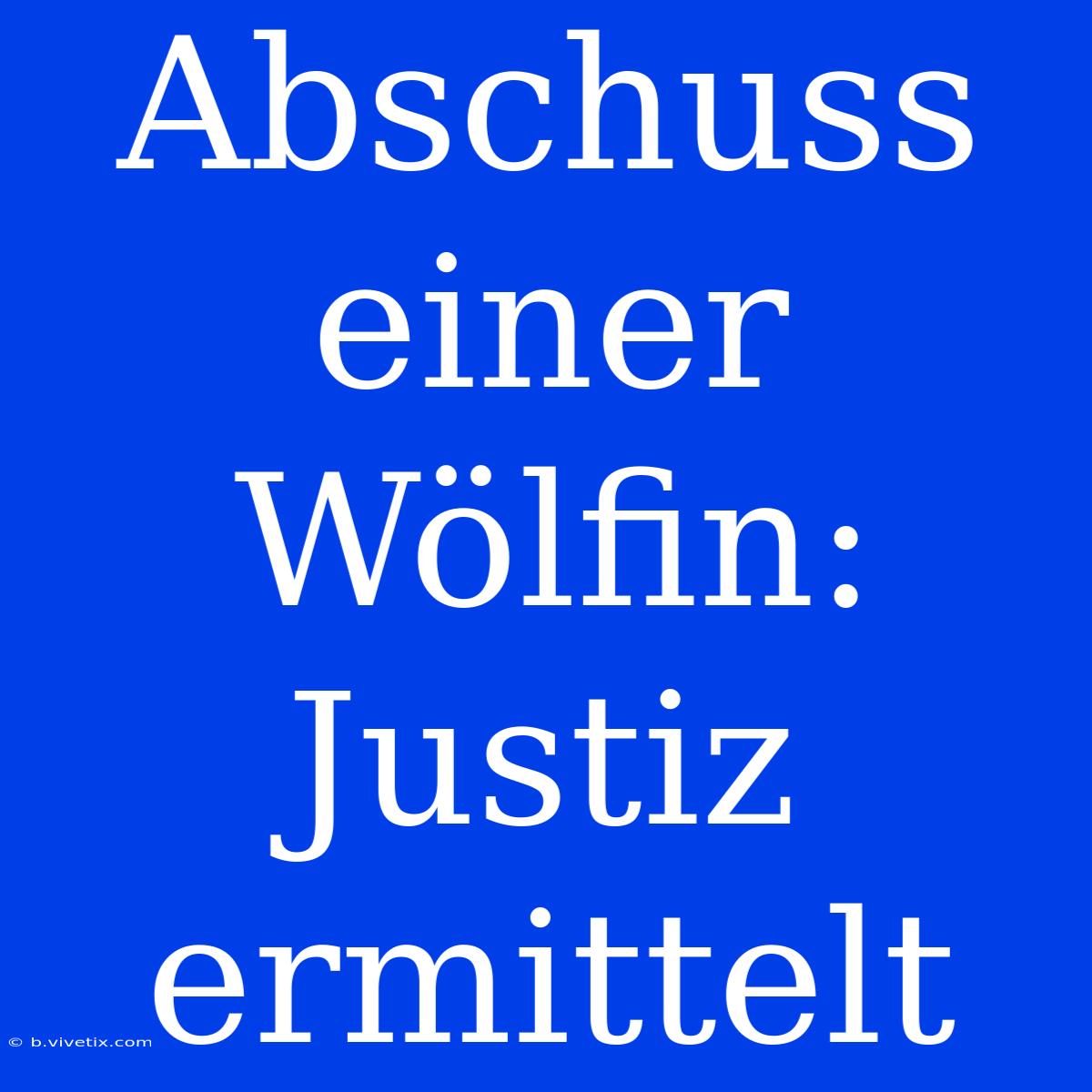 Abschuss Einer Wölfin: Justiz Ermittelt