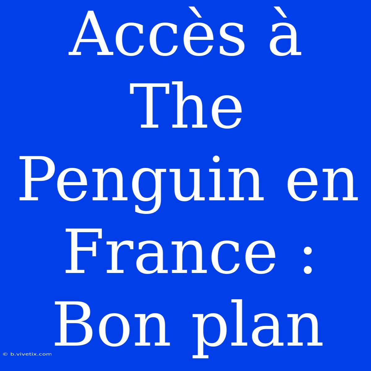 Accès À The Penguin En France : Bon Plan