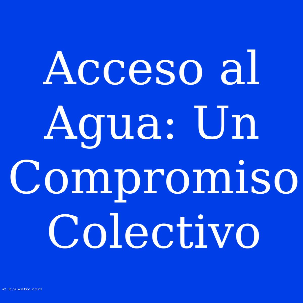 Acceso Al Agua: Un Compromiso Colectivo