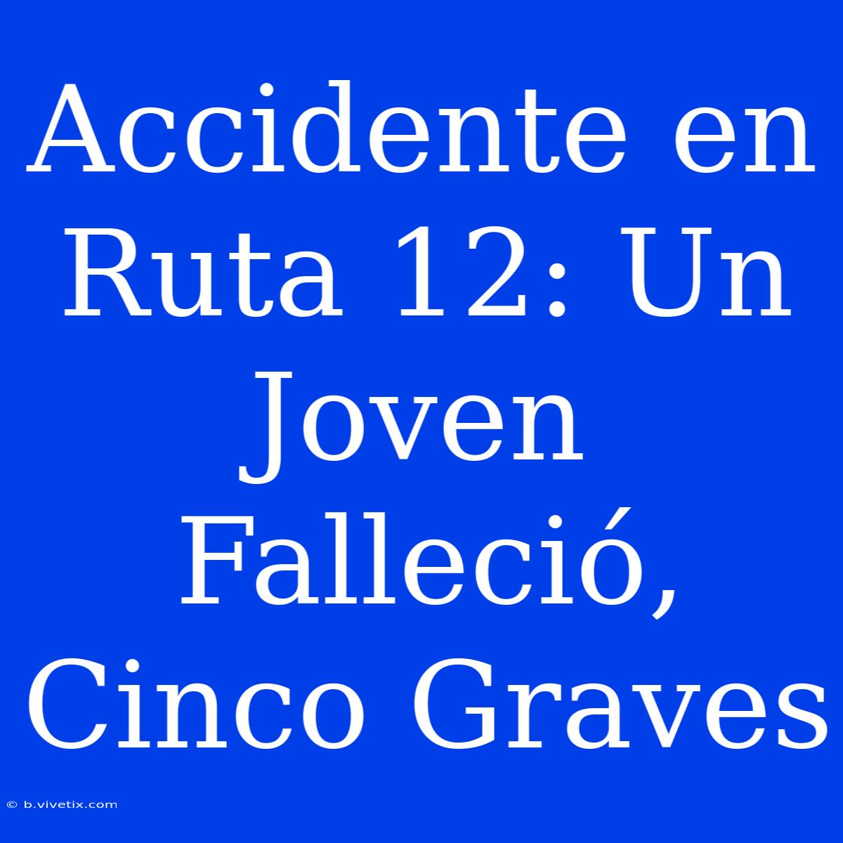 Accidente En Ruta 12: Un Joven Falleció, Cinco Graves 