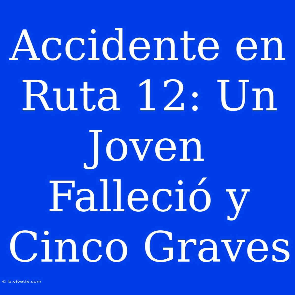 Accidente En Ruta 12: Un Joven Falleció Y Cinco Graves