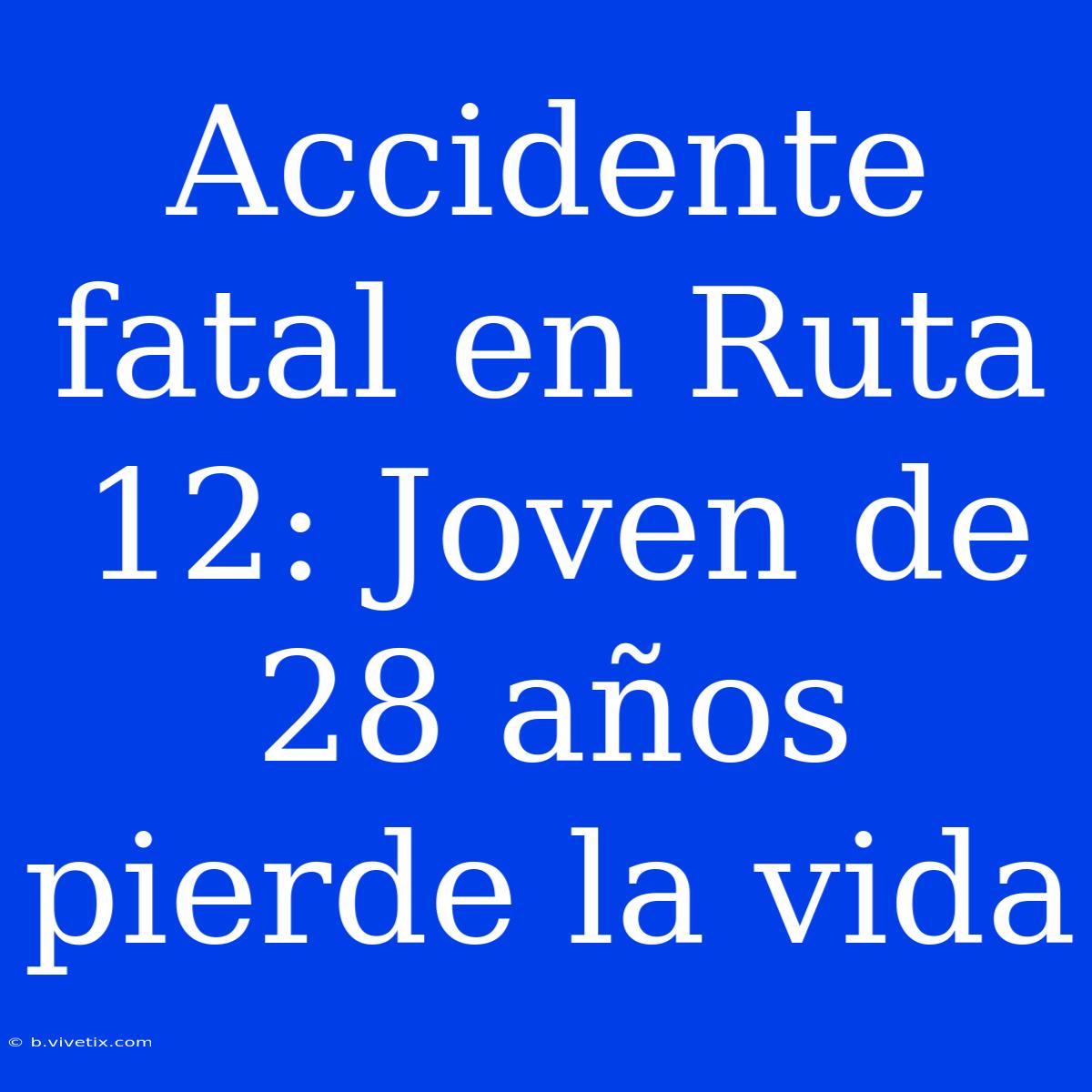 Accidente Fatal En Ruta 12: Joven De 28 Años Pierde La Vida