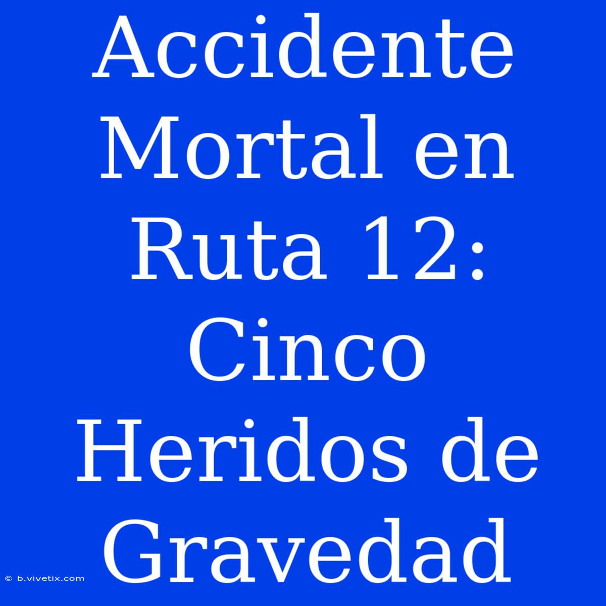 Accidente Mortal En Ruta 12: Cinco Heridos De Gravedad