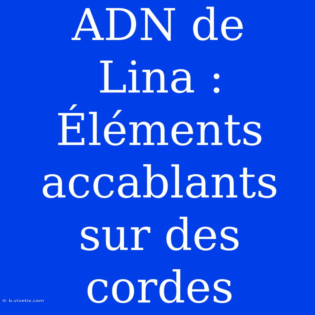 ADN De Lina : Éléments Accablants Sur Des Cordes