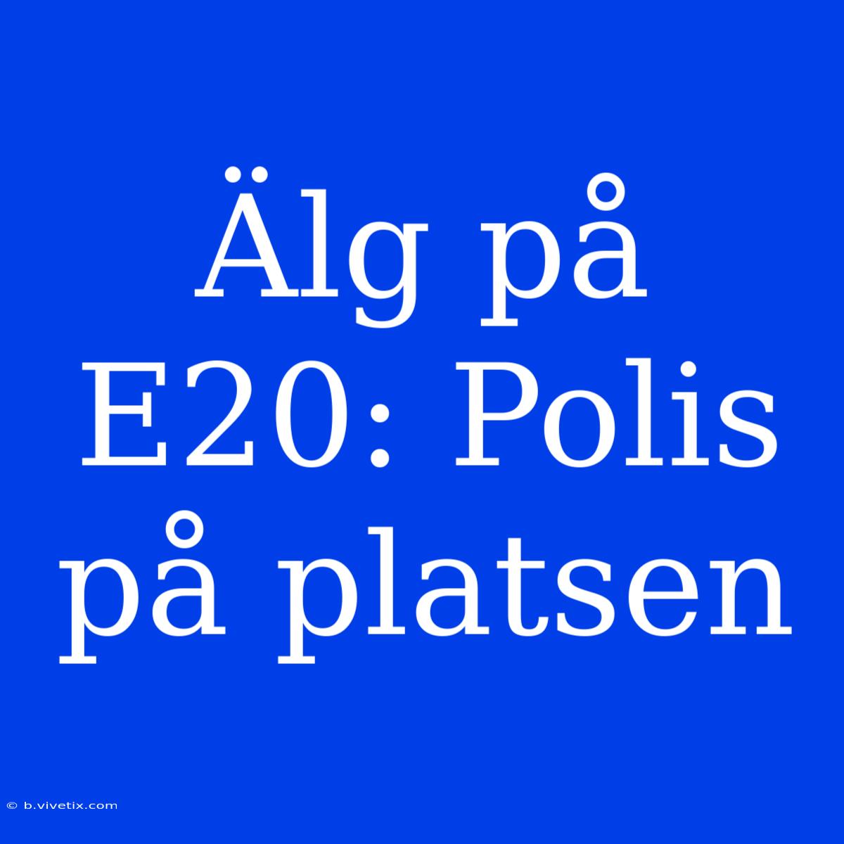 Älg På E20: Polis På Platsen