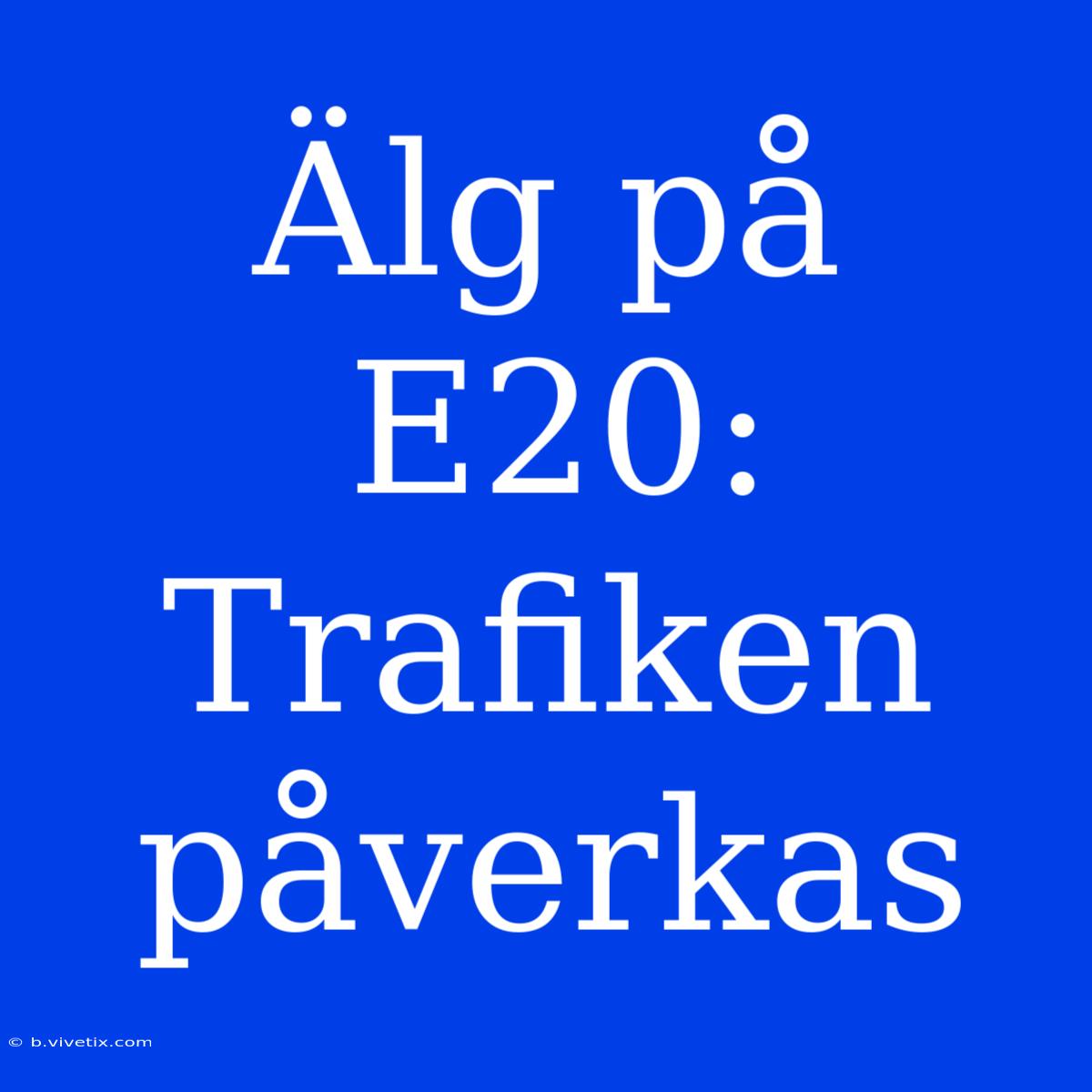 Älg På E20: Trafiken Påverkas