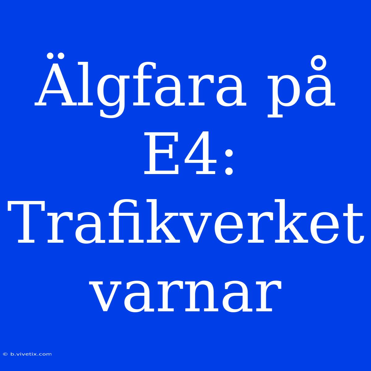 Älgfara På E4: Trafikverket Varnar