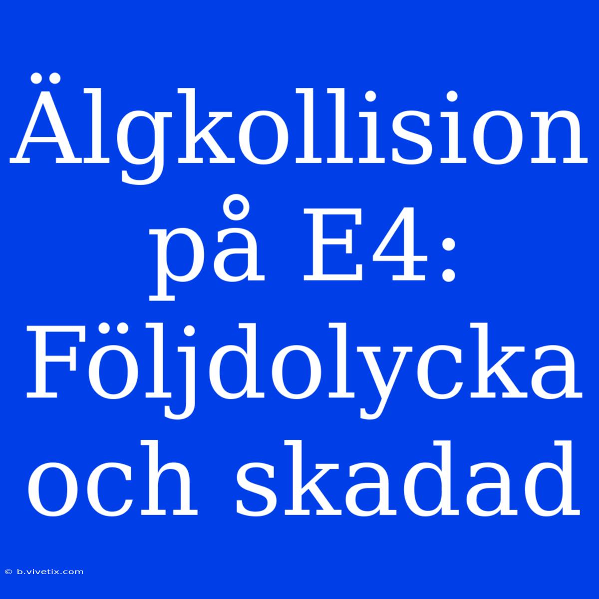 Älgkollision På E4: Följdolycka Och Skadad