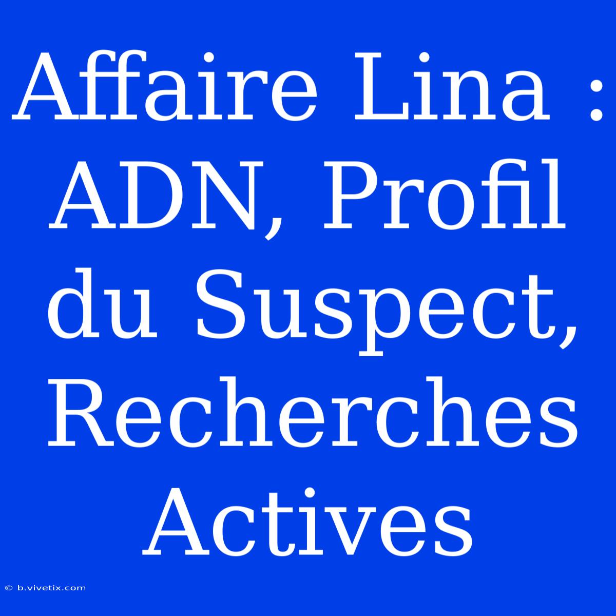 Affaire Lina : ADN, Profil Du Suspect, Recherches Actives