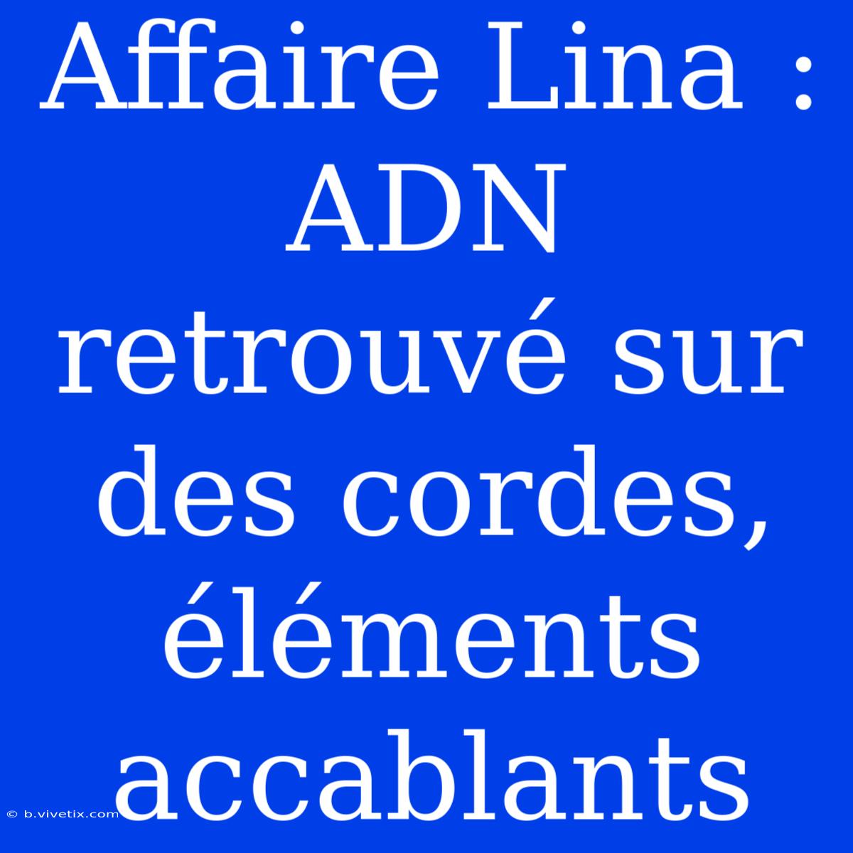 Affaire Lina : ADN Retrouvé Sur Des Cordes, Éléments Accablants