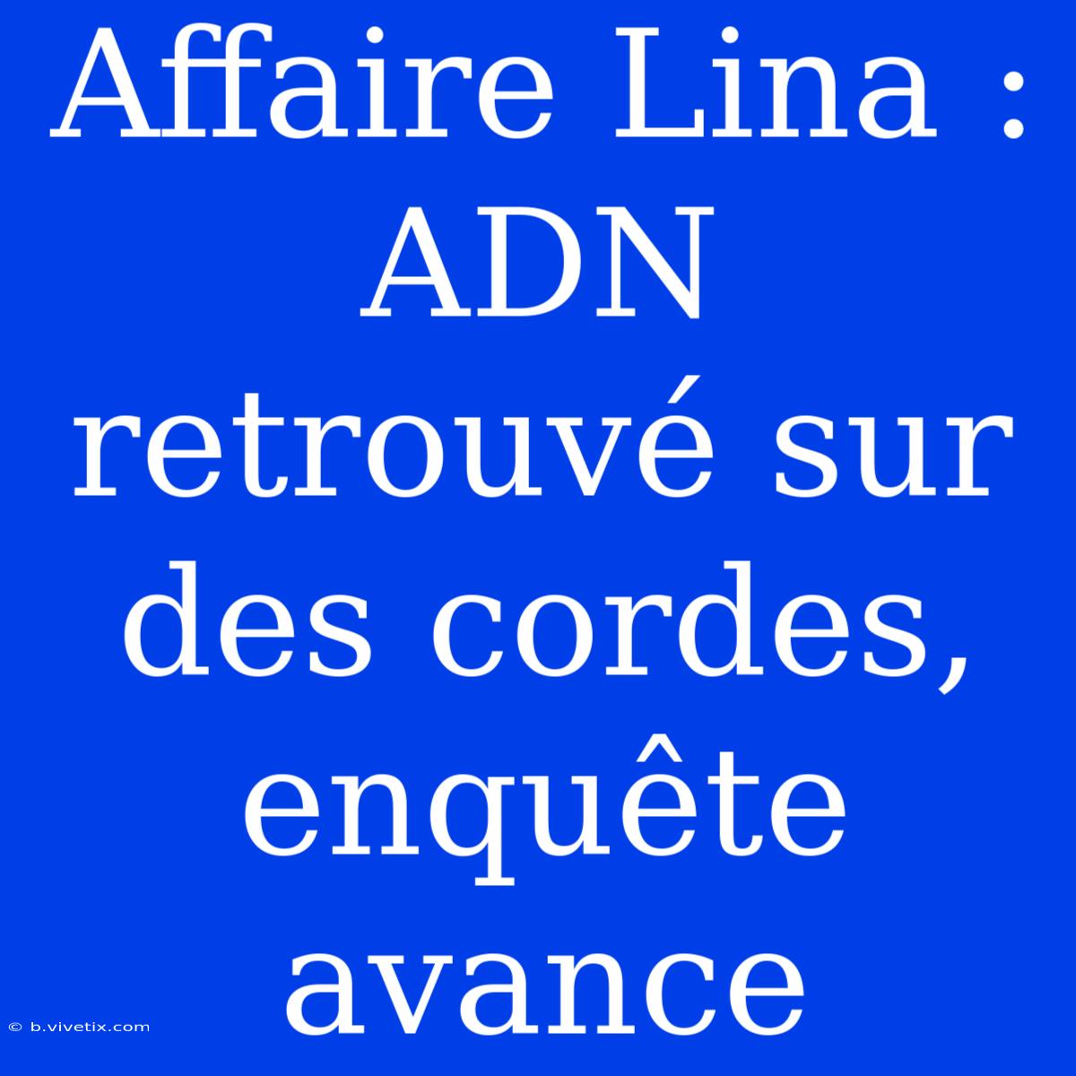 Affaire Lina : ADN Retrouvé Sur Des Cordes, Enquête Avance