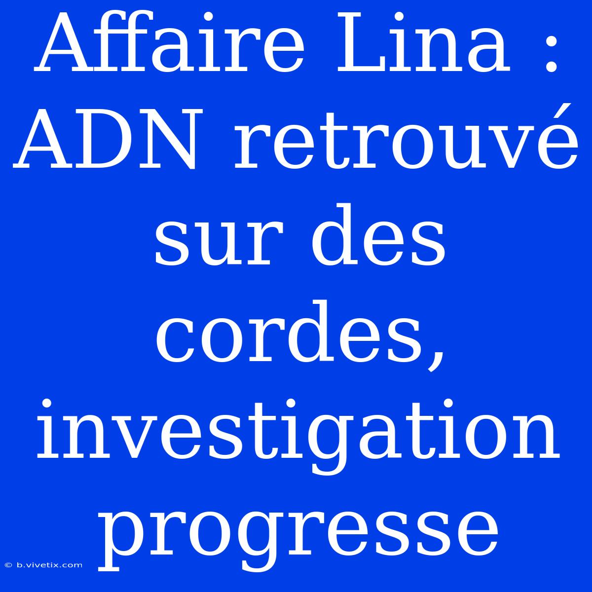 Affaire Lina : ADN Retrouvé Sur Des Cordes, Investigation Progresse