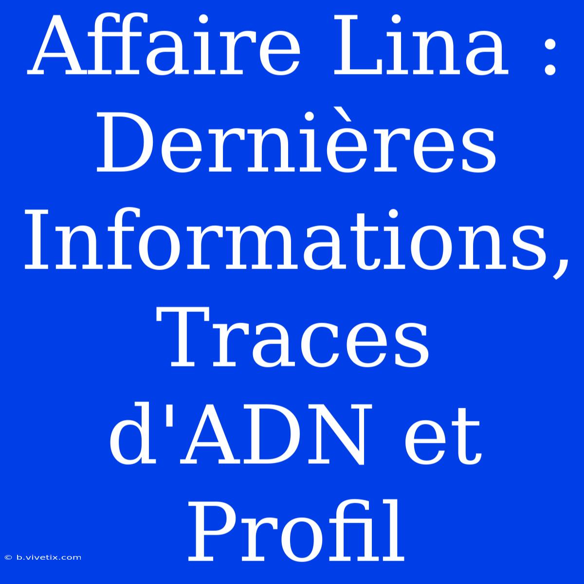 Affaire Lina : Dernières Informations, Traces D'ADN Et Profil