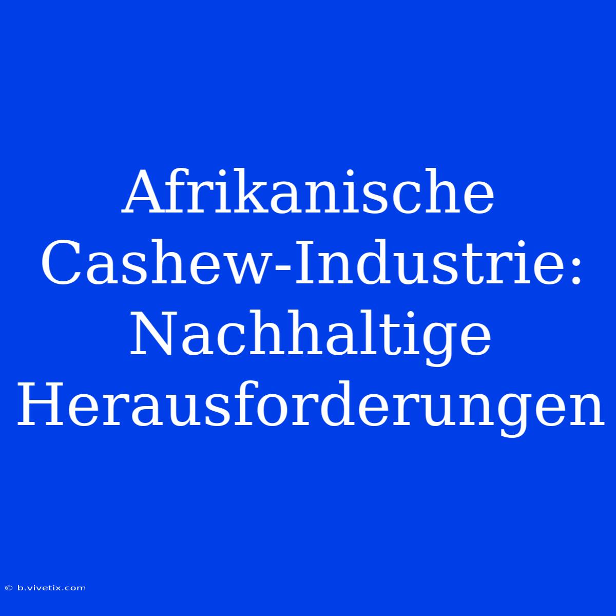 Afrikanische Cashew-Industrie: Nachhaltige Herausforderungen