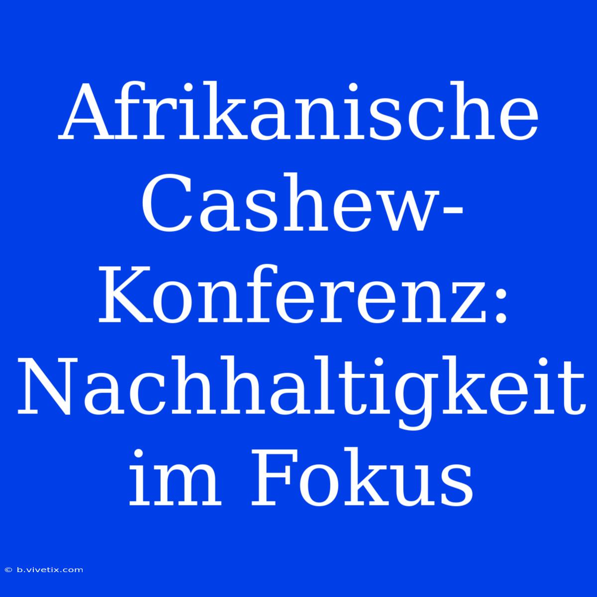 Afrikanische Cashew-Konferenz: Nachhaltigkeit Im Fokus