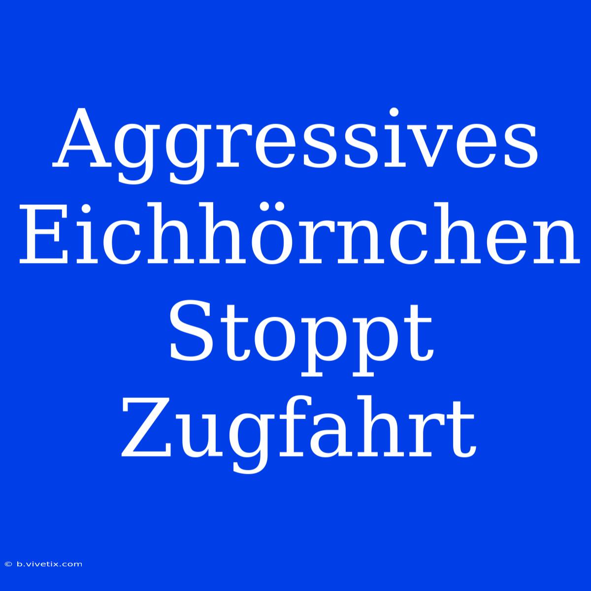 Aggressives Eichhörnchen Stoppt Zugfahrt