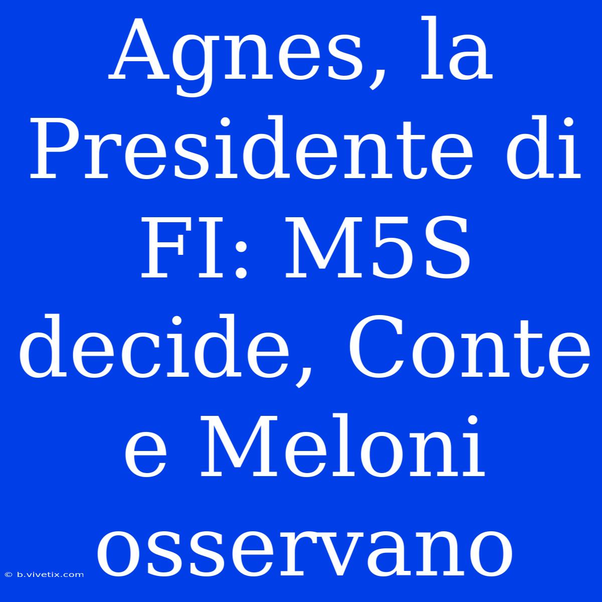 Agnes, La Presidente Di FI: M5S Decide, Conte E Meloni Osservano