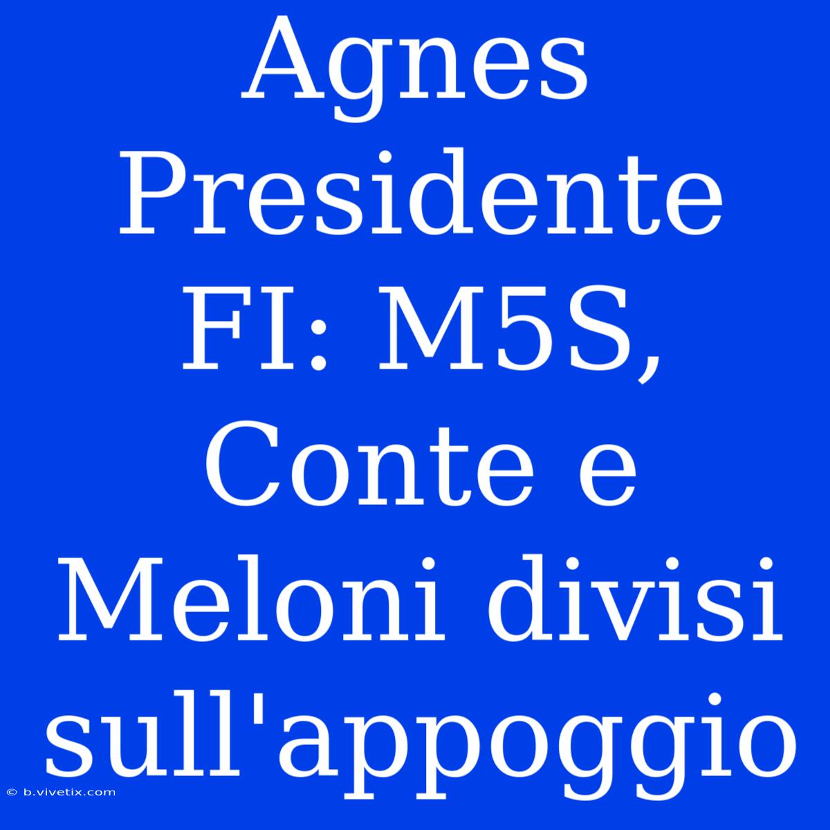 Agnes Presidente FI: M5S, Conte E Meloni Divisi Sull'appoggio 