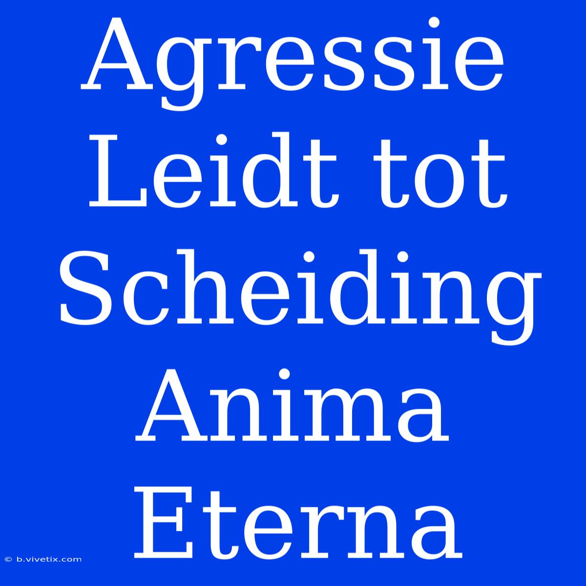 Agressie Leidt Tot Scheiding Anima Eterna