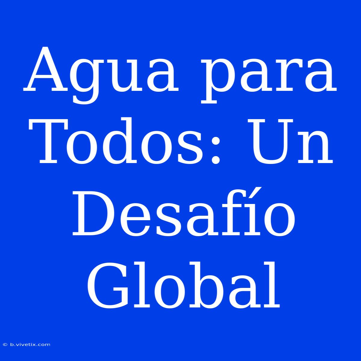 Agua Para Todos: Un Desafío Global