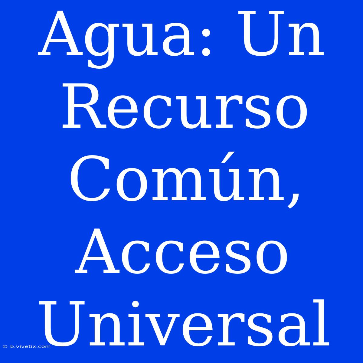 Agua: Un Recurso Común, Acceso Universal