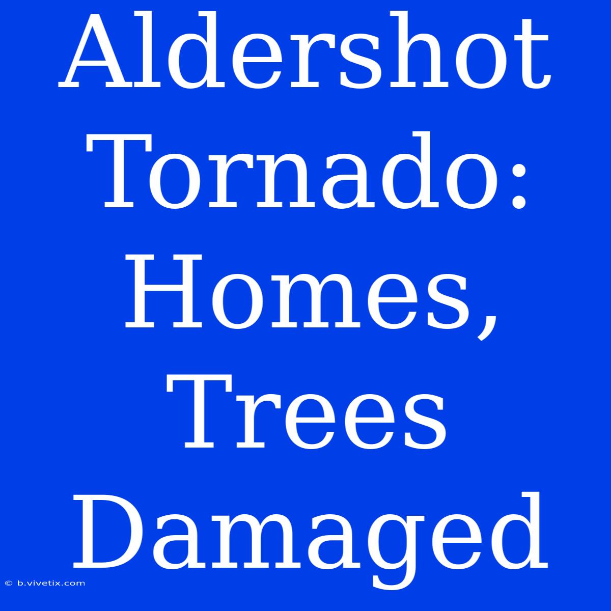 Aldershot Tornado: Homes, Trees Damaged