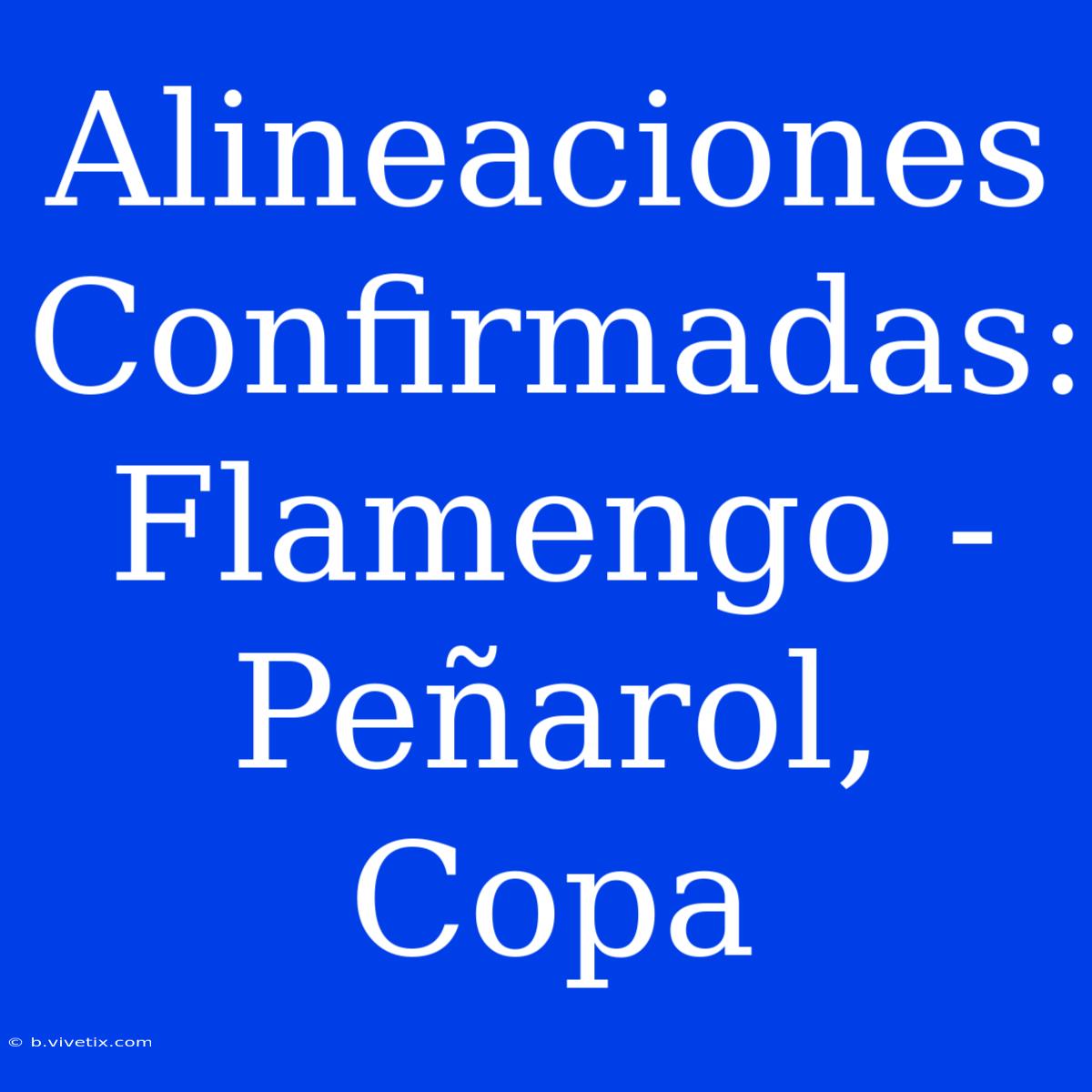 Alineaciones Confirmadas: Flamengo - Peñarol, Copa