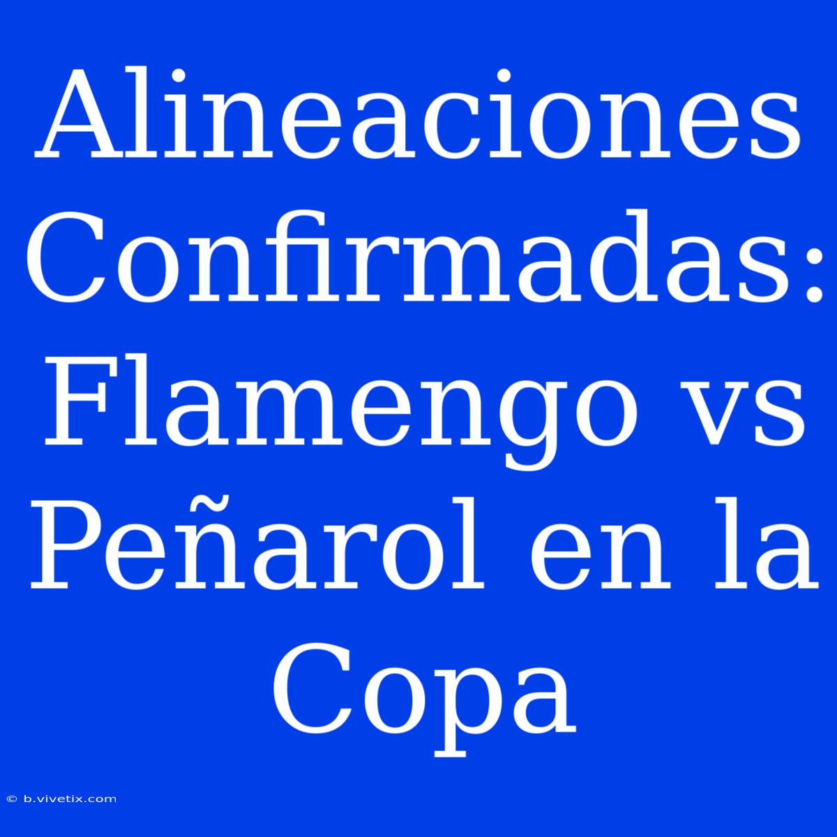 Alineaciones Confirmadas: Flamengo Vs Peñarol En La Copa 