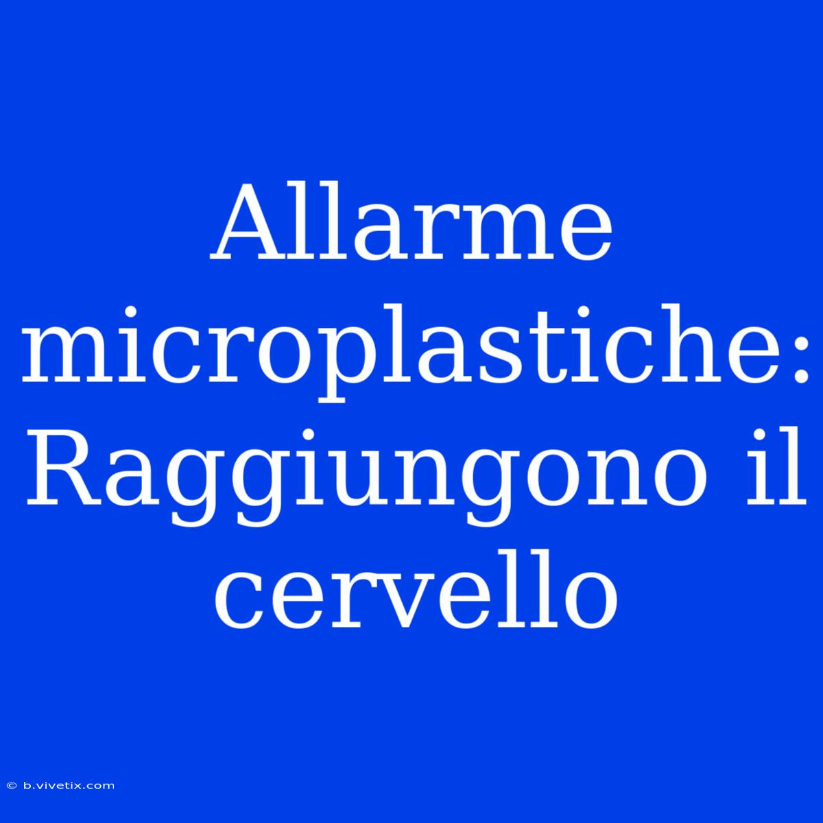 Allarme Microplastiche: Raggiungono Il Cervello