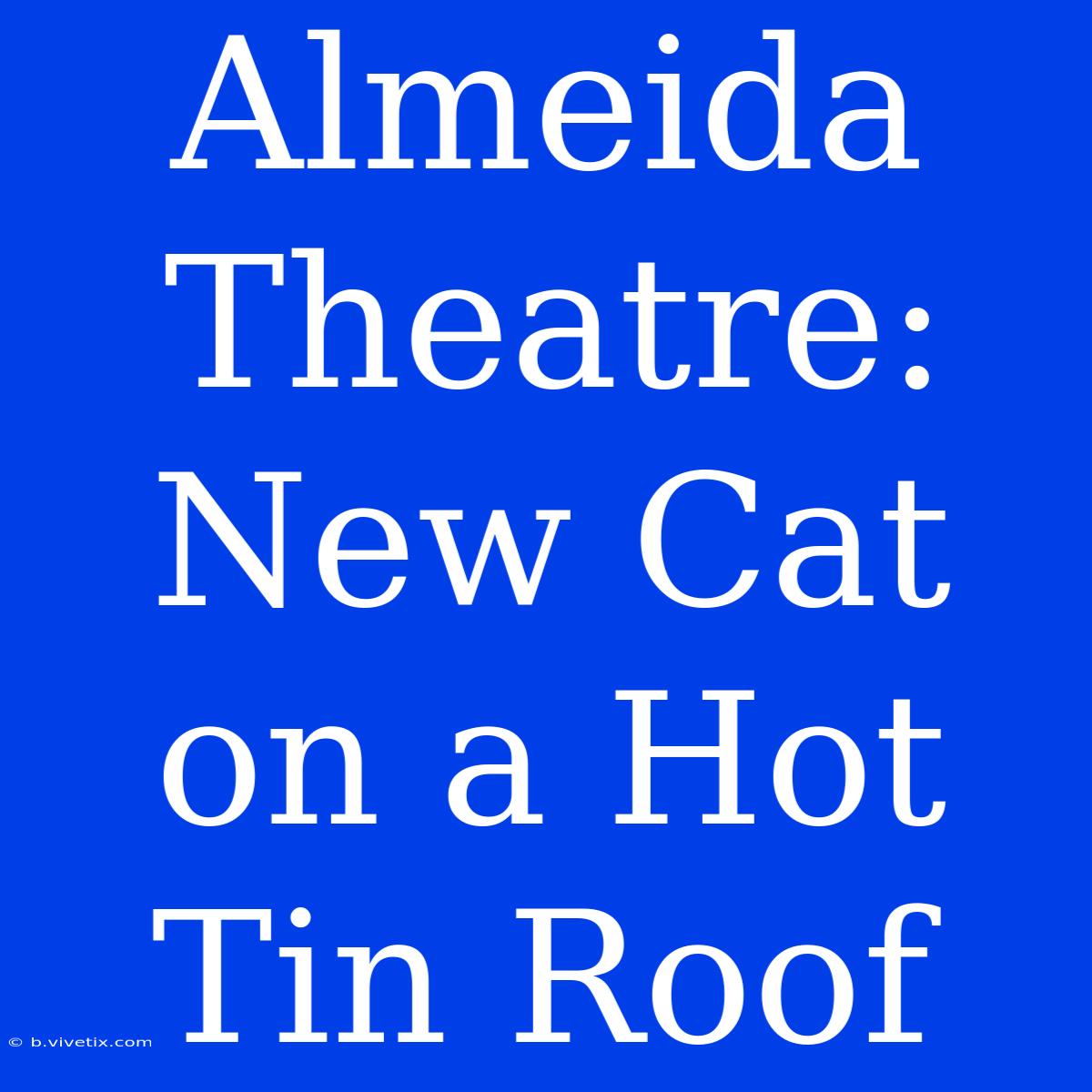 Almeida Theatre: New Cat On A Hot Tin Roof