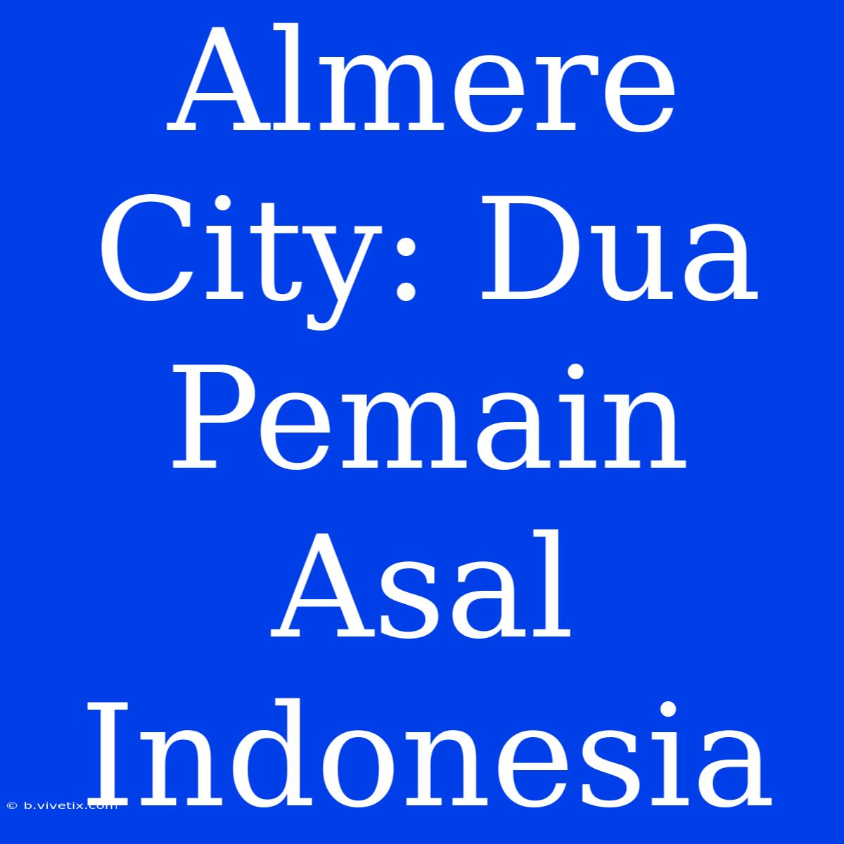 Almere City: Dua Pemain Asal Indonesia 