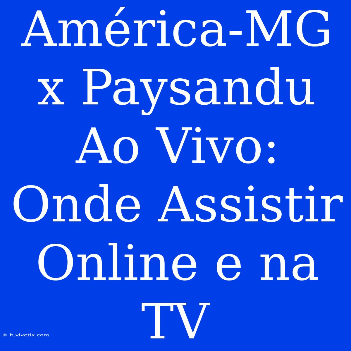 América-MG X Paysandu Ao Vivo: Onde Assistir Online E Na TV