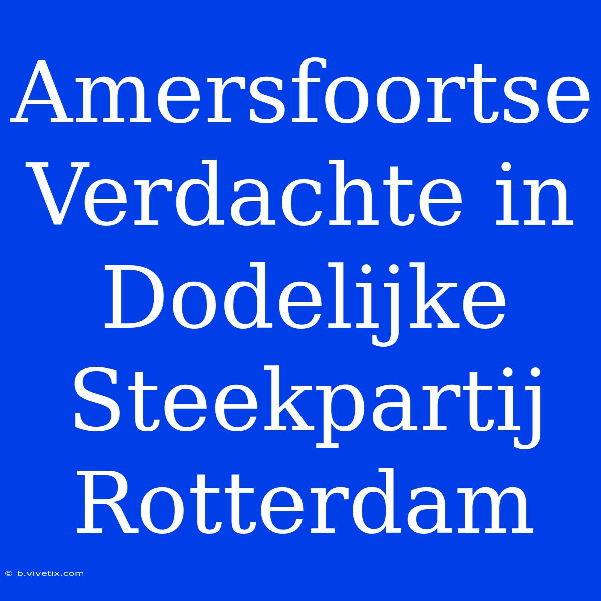 Amersfoortse Verdachte In Dodelijke Steekpartij Rotterdam