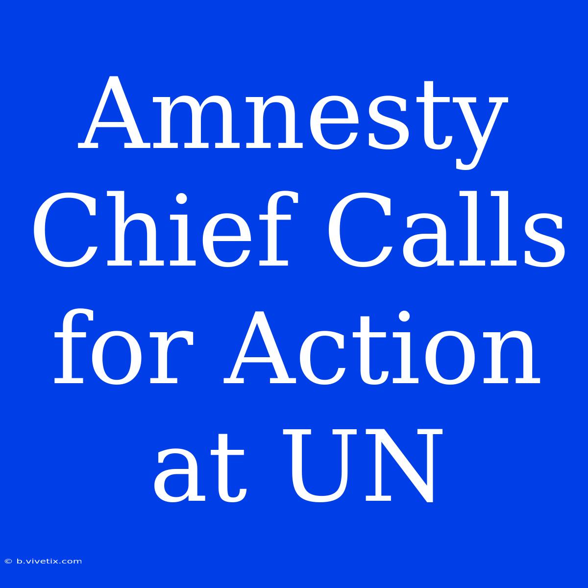 Amnesty Chief Calls For Action At UN