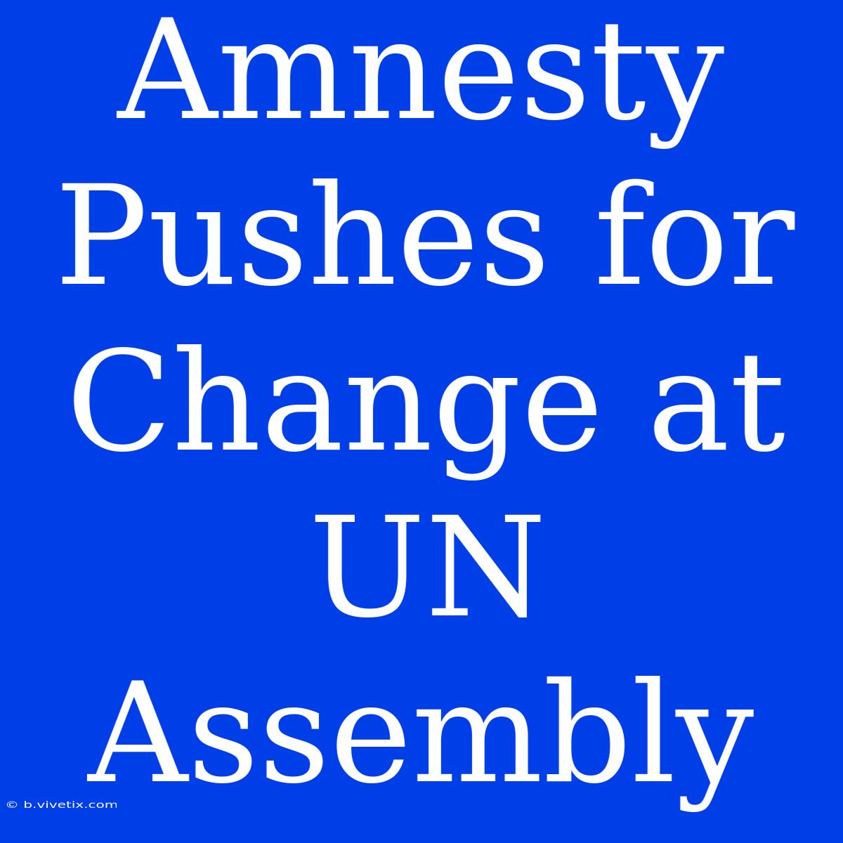 Amnesty Pushes For Change At UN Assembly