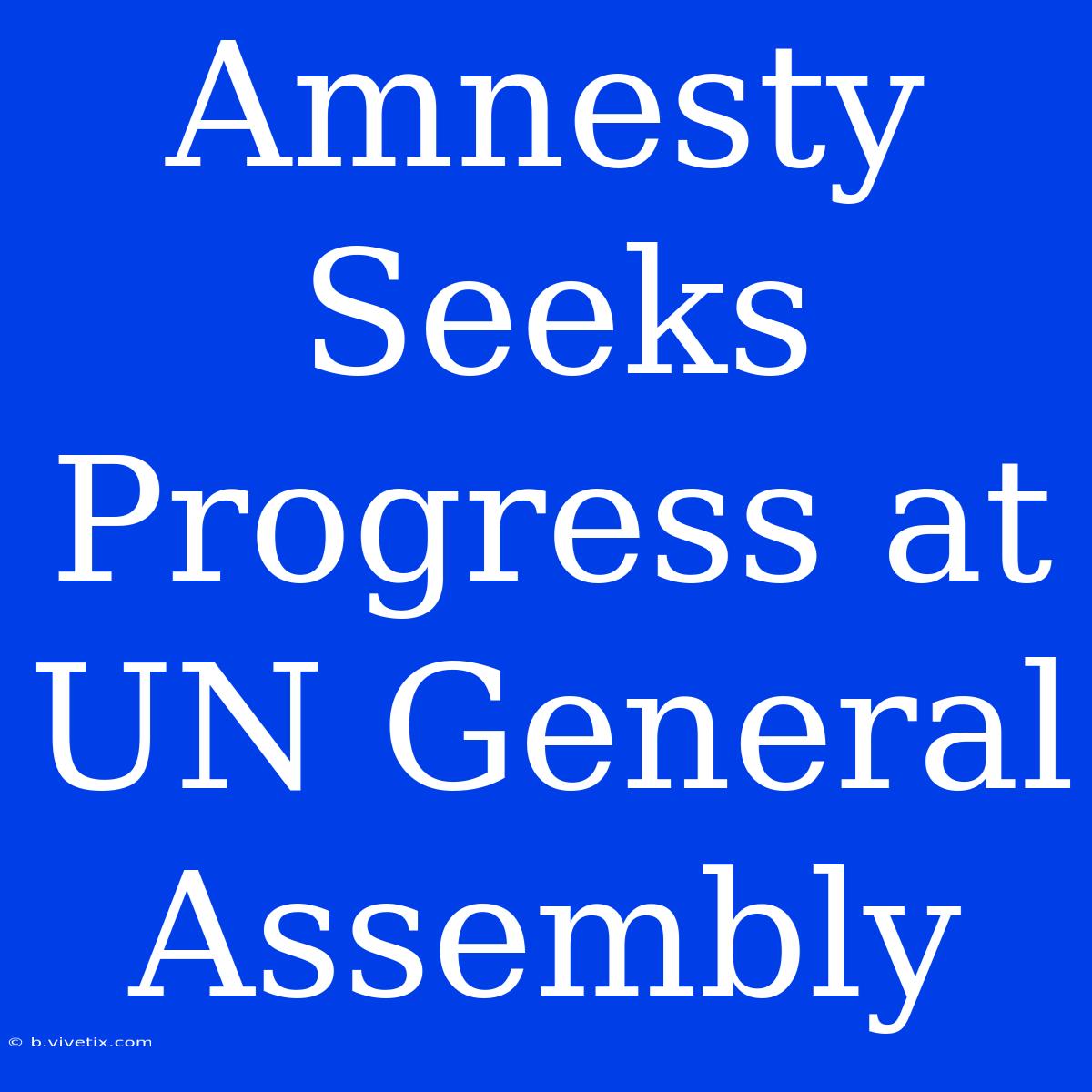 Amnesty Seeks Progress At UN General Assembly