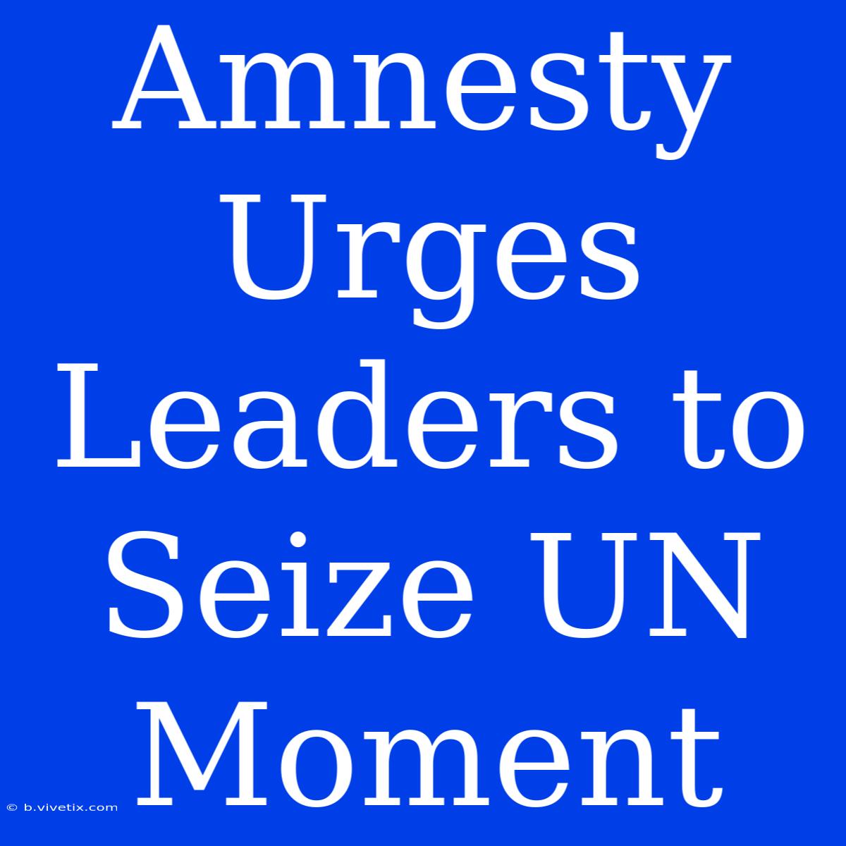 Amnesty Urges Leaders To Seize UN Moment